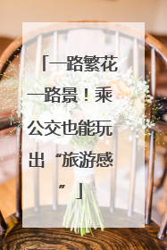 一路繁花一路景！乘公交也能玩出“旅游感”